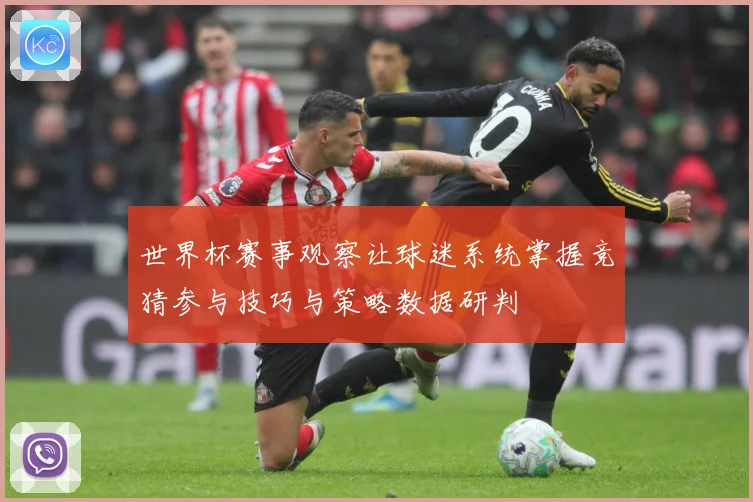世界杯赛事观察让球迷系统掌握竞猜参与技巧与策略数据研判