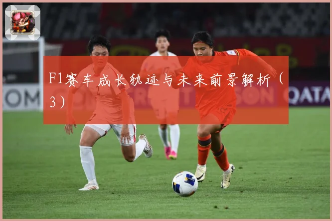 F1赛车成长轨迹与未来前景解析（3）